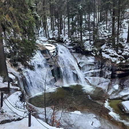 U Jelena Harrachov - Rodinny Apartman U Lesa S Garazi Exteriör bild